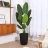 B07K6KKYDZPT0215feetitempackagequantitysizename Fopamtri 5 Feet Tall Artificial Plant