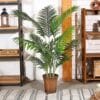 B07ZQ1JDP5PT041Packsizename Fopamtri Areca Palm Plant 46 Feet