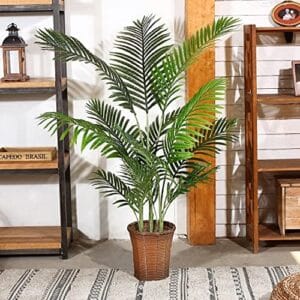 Areca Palm Plant 4.6 Feet