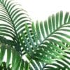 B089D1KCHGPT013ft1pcssizename Fopamtri 3 Feet Artificial Palm