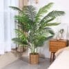 B08BZ4HZNMPT03itempackagequantity1 Fopamtri Artificial Areca Palm Plan 6 Feet Palm Tree