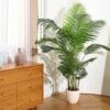 B08BZ4HZNMPT05itempackagequantity1 Fopamtri Artificial Areca Palm Plan 6 Feet Palm Tree