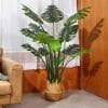 B08BZ4RQ2SPT04155Inchitempackagequantitysizename Fopamtri Artificial Monstera Deliciosa Plant 55 Inch Artificial Plant