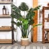 B08BZ4RQ2SPT05155Inchitempackagequantitysizename Fopamtri Artificial Monstera Deliciosa Plant 55 Inch Artificial Plant