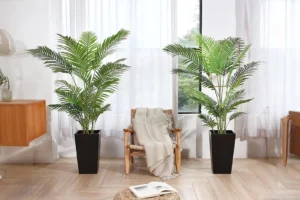 Fir20241018143854 Fopamtri