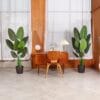 B0CPF446KYPT02 Fopamtri 5 Feet Artificial Plant