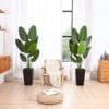B0CPF446KYPT07 Fopamtri 5 Feet Artificial Plant